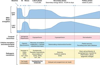 Role of Optical Neuromonitoring in Neonatal Encephalopathy—Current State and Recent Advances